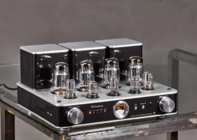 willsenton r8 6550eh silver 3 39 Willsenton Audio